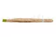 Dried Elephant Reed Green (set of 20) 5