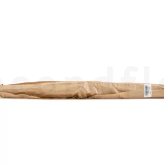 Dried Elephant Reed Green (set of 20)
