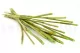 Dried Elephant Reed Green (set of 20) 6