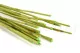 Dried Elephant Reed Green (set of 20) 1