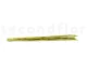 Dried Elephant Reed Green (set of 20) 3