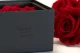Preserved rose in a box Red 6