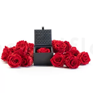 Preserved rose in a box Red