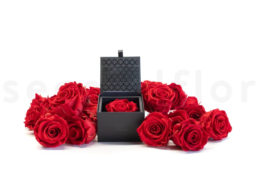 Preserved rose in a box Red