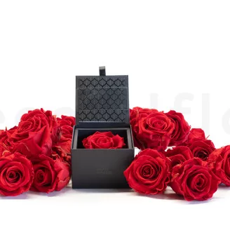 Preserved rose in a box Red