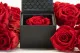 Preserved rose in a box Red 17