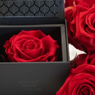 Preserved rose in a box Red