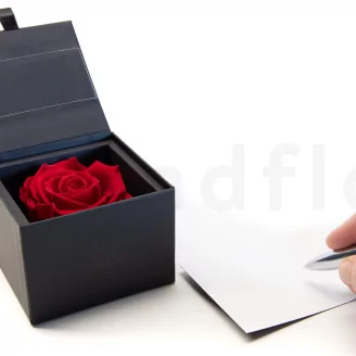 Preserved rose in a box Red