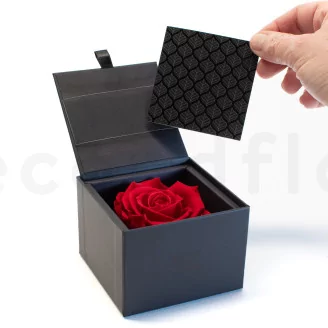 Preserved rose in a box Red
