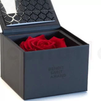 Preserved rose in a box Red