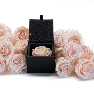 Preserved rose in a box Pink