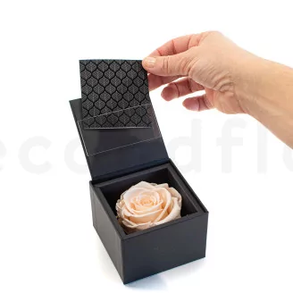 Preserved rose in a box Pink
