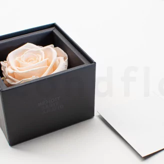 Preserved rose in a box Pink
