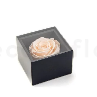 Preserved rose in a box Pink