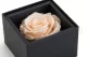 Preserved rose in a box Pink 15