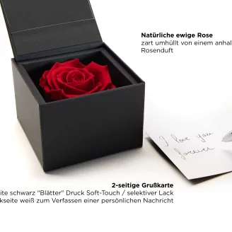 Preserved rose in a box Red
