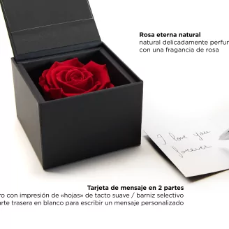 Preserved rose in a box Red