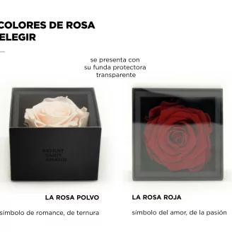 Preserved rose in a box Red