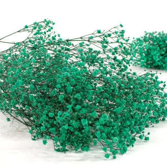 Preserved Baby's Breath Gypsophila Turquoise