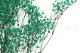 Preserved Baby's Breath Gypsophila Turquoise 8