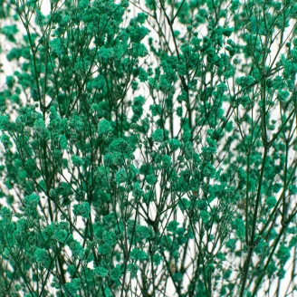 Preserved Baby's Breath Gypsophila Turquoise