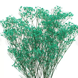 Preserved Baby's Breath Gypsophila Turquoise