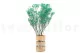 Preserved Baby's Breath Gypsophila Turquoise 7