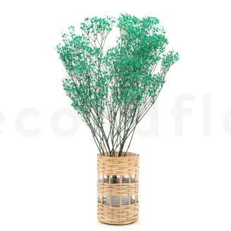 Preserved Baby's Breath Gypsophila Turquoise