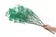 Preserved Baby's Breath Gypsophila Turquoise 3