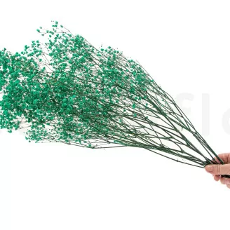 Preserved Baby's Breath Gypsophila Turquoise
