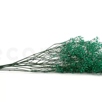 Preserved Baby's Breath Gypsophila Turquoise