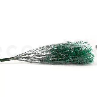 Preserved Baby's Breath Gypsophila Turquoise