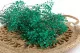 Preserved Baby's Breath Gypsophila Turquoise 10