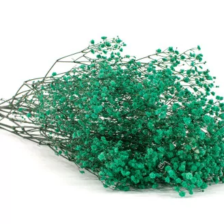 Preserved Baby's Breath Gypsophila Turquoise