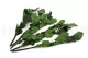 Preserved Rose Stem Short (set of 5) 2