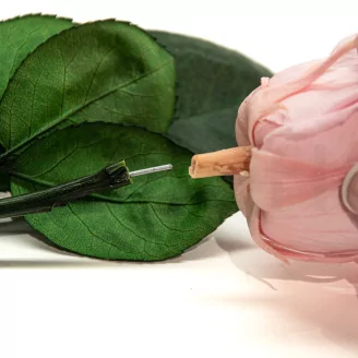 Preserved Rose Stem Long (set of 5)