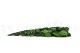 Preserved Rose Stem Long (set of 5) 9