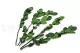 Preserved Rose Stem Long (set of 5) 2