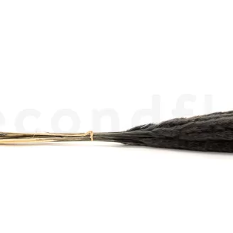 Dried Mini Pampa Black (set of 15)