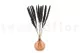 Dried Mini Pampa Black (set of 15) 7