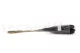 Dried Mini Pampa Black (set of 15) 11