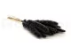 Dried Mini Pampa Black (set of 15) 8