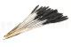 Dried Mini Pampa Black (set of 15) 5