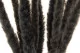 Dried Mini Pampa Black (set of 15) 9