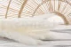 Dried Mini Pampa White (set of 15) 3