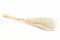 A Bunch of Fifteen Stems of Dried White Mini Pampas