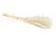 Dried Mini Pampa White (set of 15) 8