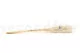 Dried Mini Pampa White (set of 15) 11