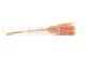 Dried Mini Pampa Peach (set of 15) 11