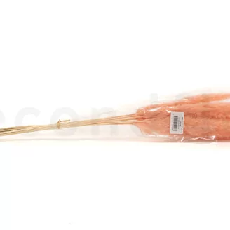 Dried Mini Pampa Peach (set of 15)